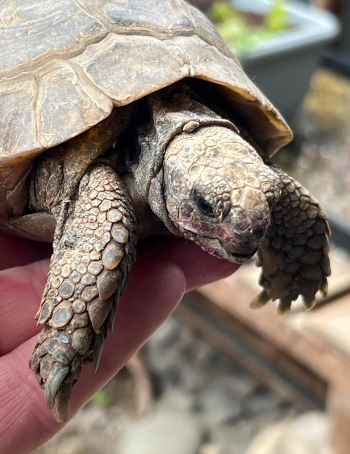 Screenshot 2024-06-24 154144 Home