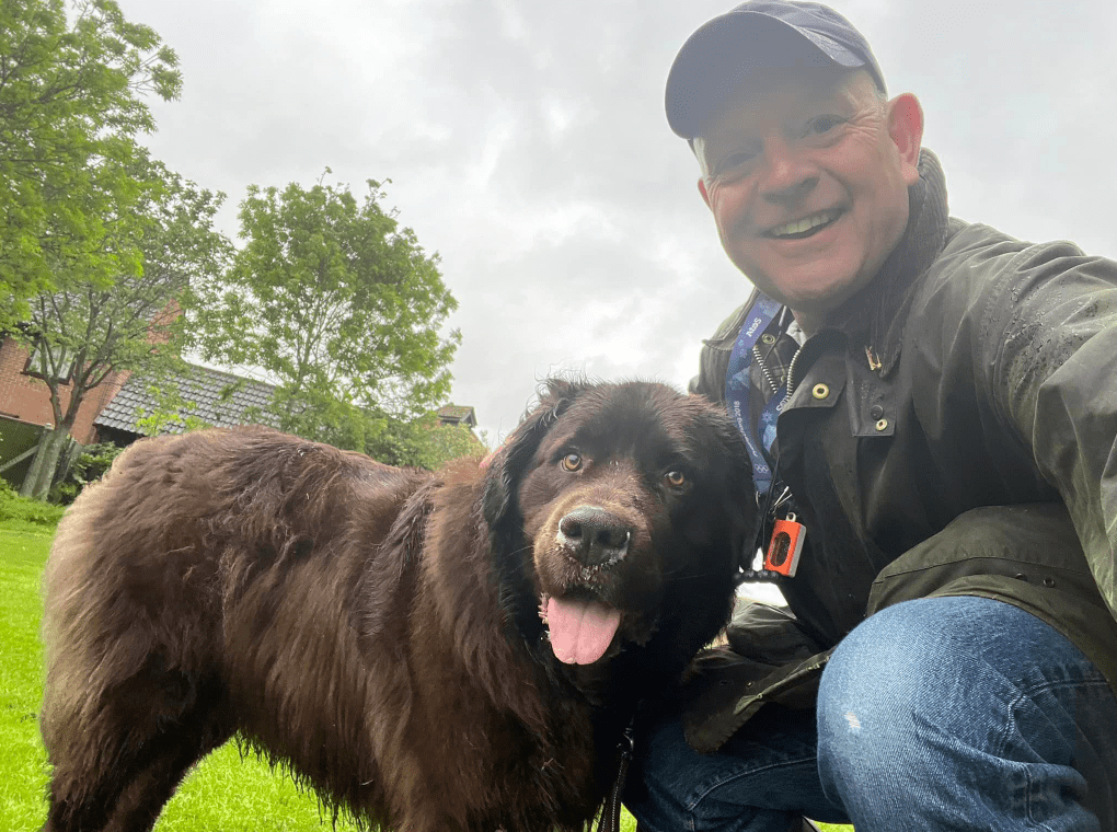 Screenshot 2024-06-24 160951 Dog Walking